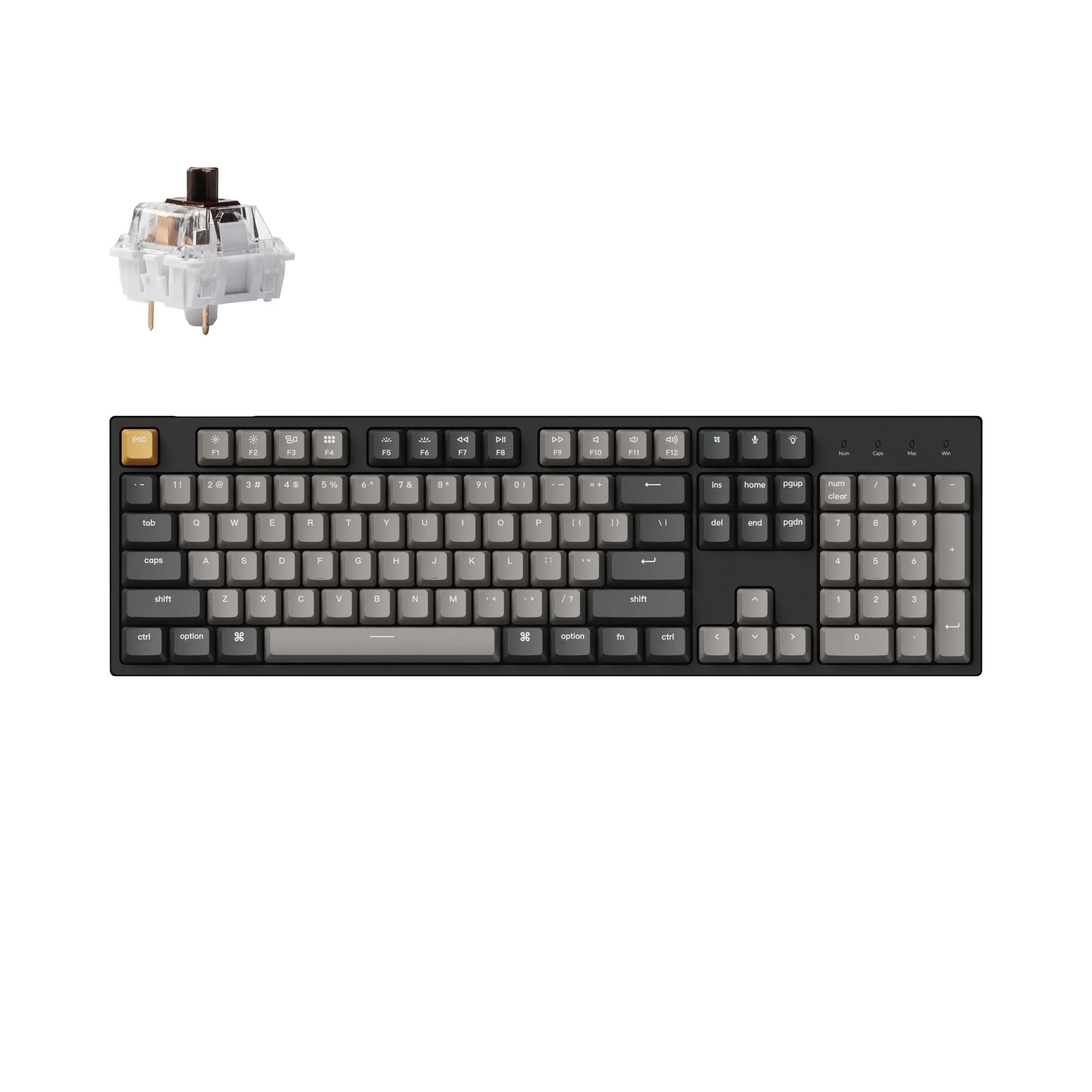 Keychron C2 Pro QMK/VIA Wired Mechanical Keyboard (US ANSI Layout) - Image 2