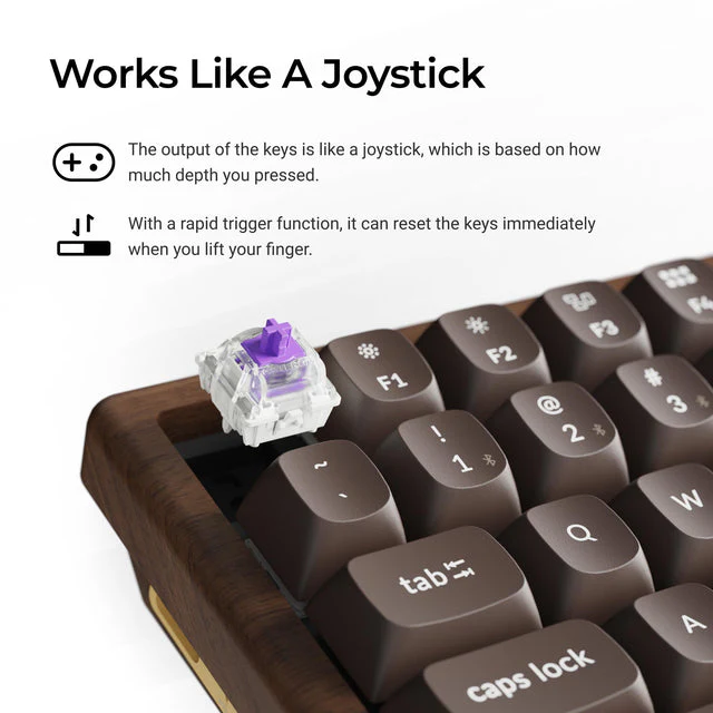 Keychron K2 HE Wireless Magnetic Switch Custom Keyboard - All-Wood Special Edition - Image 4