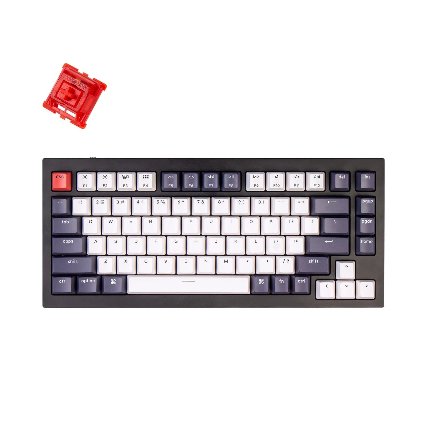 Keychron Q1 QMK Wired Custom Mechanical Keyboard(US ANSI Layout) - Image 6