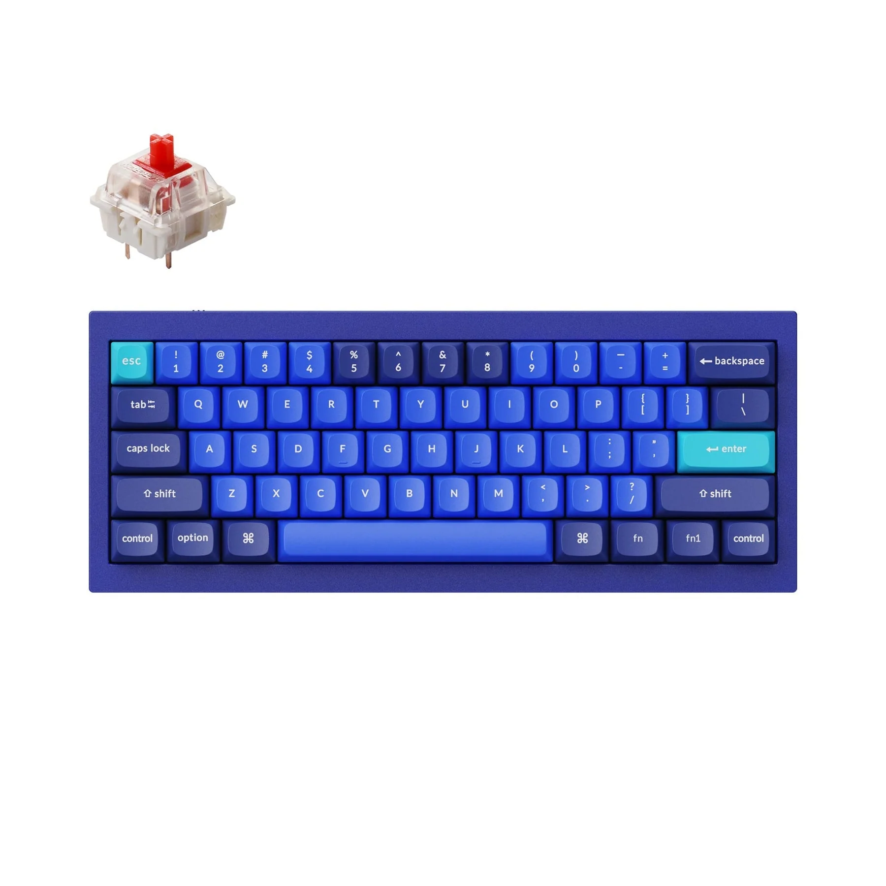 Keychron Q4 QMK Wired Custom Mechanical Keyboard(US ANSI Layout) - Image 16