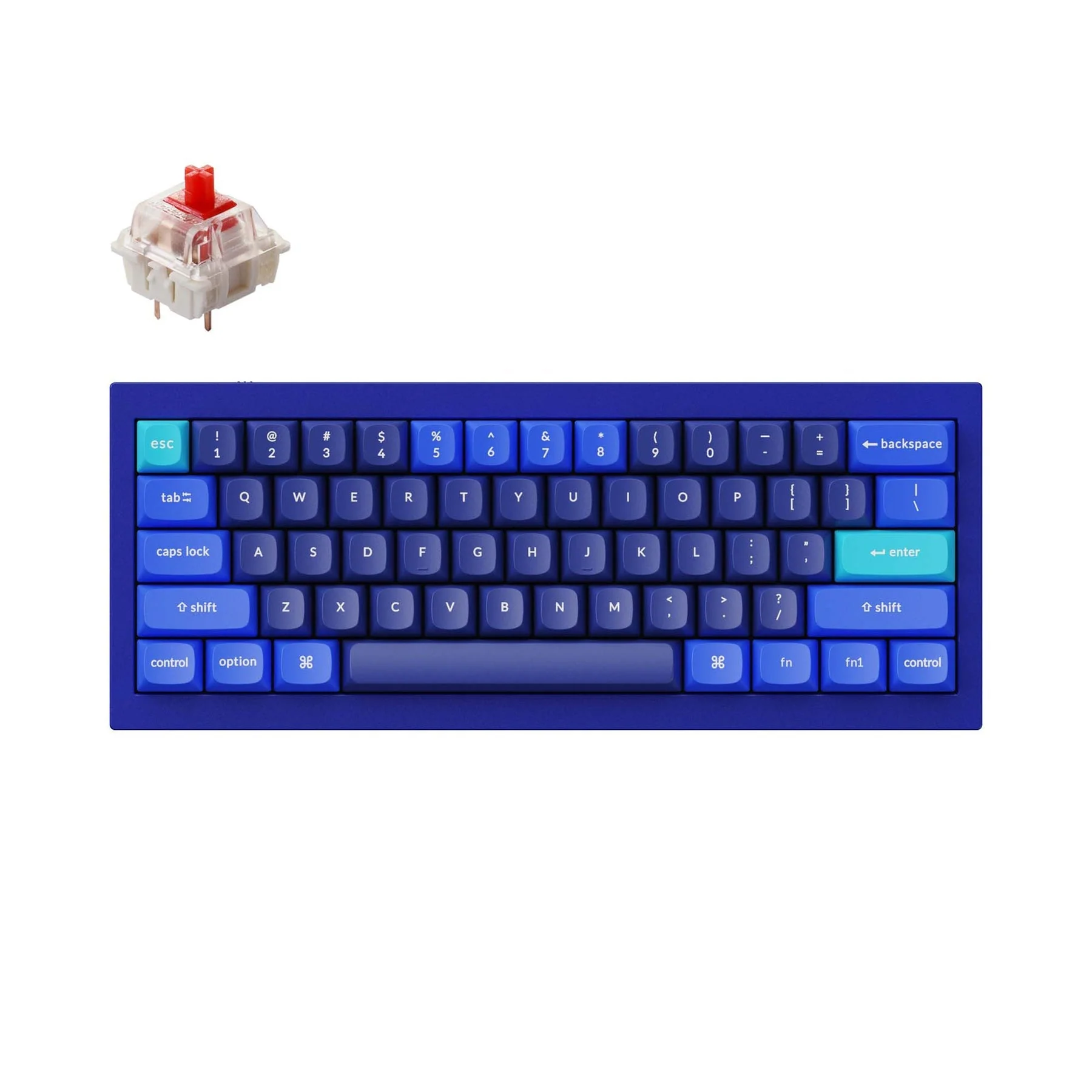Keychron Q4 QMK Wired Custom Mechanical Keyboard(US ANSI Layout) - Image 7