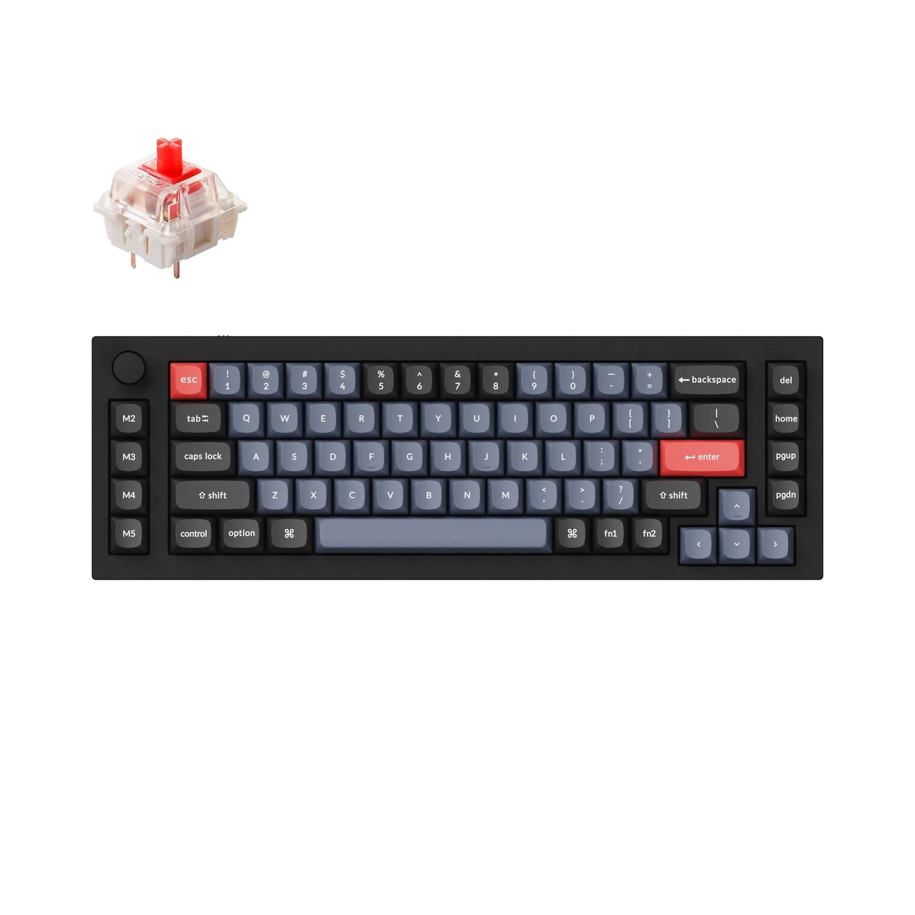 Keychron Q65 QMK Wired Custom Mechanical Keyboard(US ANSI Layout)